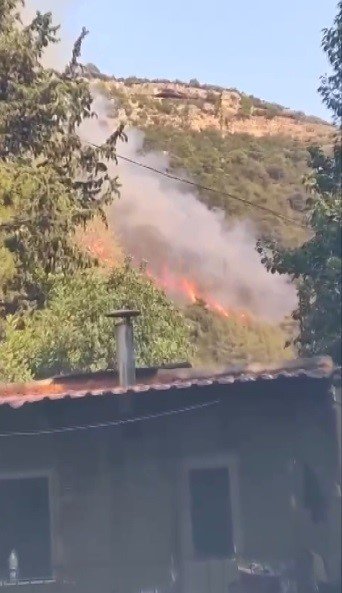 Mersin’de Orman Yangını