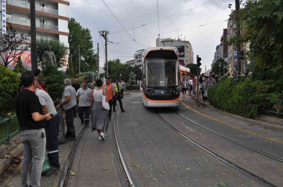 Eskişehir’de Rüzgarda Kırılan Dal Tramvay Seferlerini Aksattı