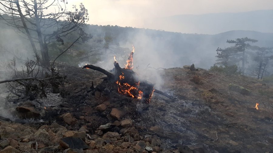 Eskişehir’de 7 Saattir Devam Eden Orman Yangınına Müdahale Sürüyor