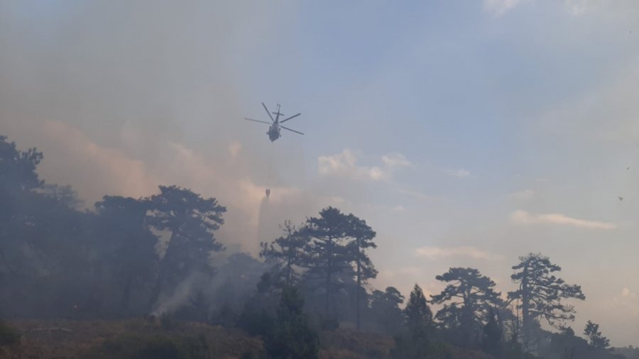 Eskişehir’de 7 Saattir Devam Eden Orman Yangınına Müdahale Sürüyor