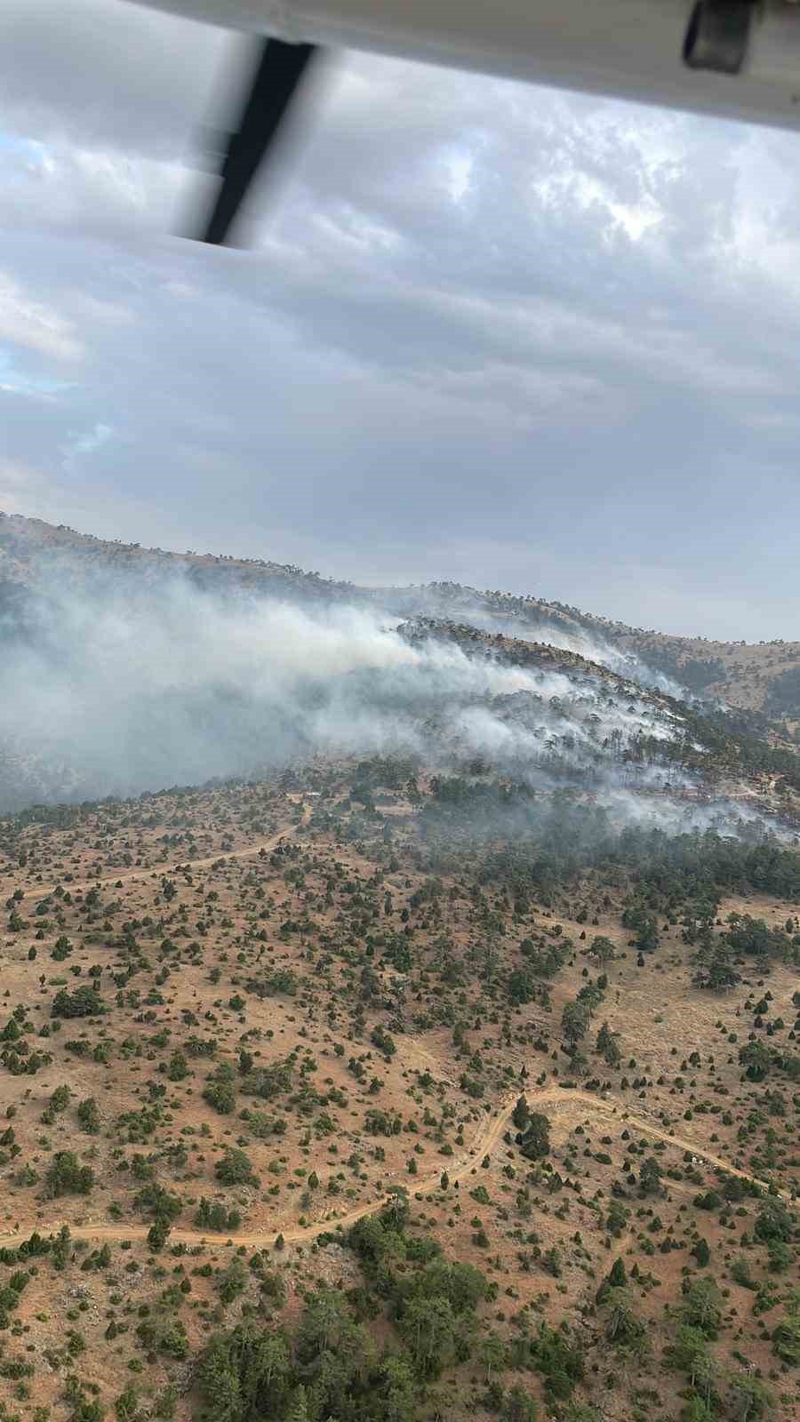 Eskişehir’de 7 Saattir Devam Eden Orman Yangınına Müdahale Sürüyor