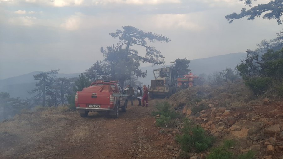 Eskişehir’de Çıkan Orman Yangını Kontrol Altına Alındı