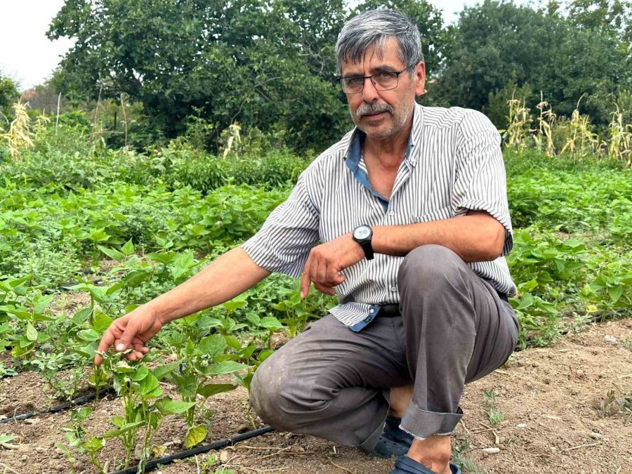 Sıcaklık Rekoru Kırılan Sarıcakaya Adeta Yanıyor