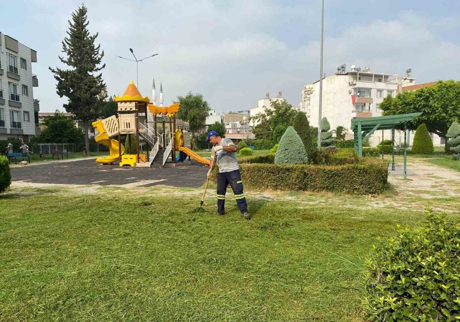 Akdeniz’de Cami, Okul Ve Parklara Özel Bakım