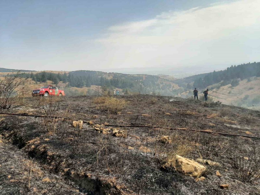 Anız Yakılmasıyla Tarlada Başlayan Yangın Ormanlık Alana Sıçramadan Söndürüldü