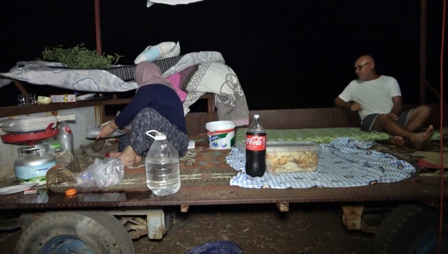 Antalya’da Tarlada Milyonluk Halı Nöbeti: Güneş Batınca Başlayıp, Doğunca Bitiriyorlar