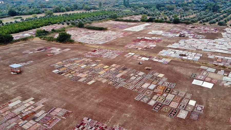 Antalya’da Tarlada Milyonluk Halı Nöbeti: Güneş Batınca Başlayıp, Doğunca Bitiriyorlar