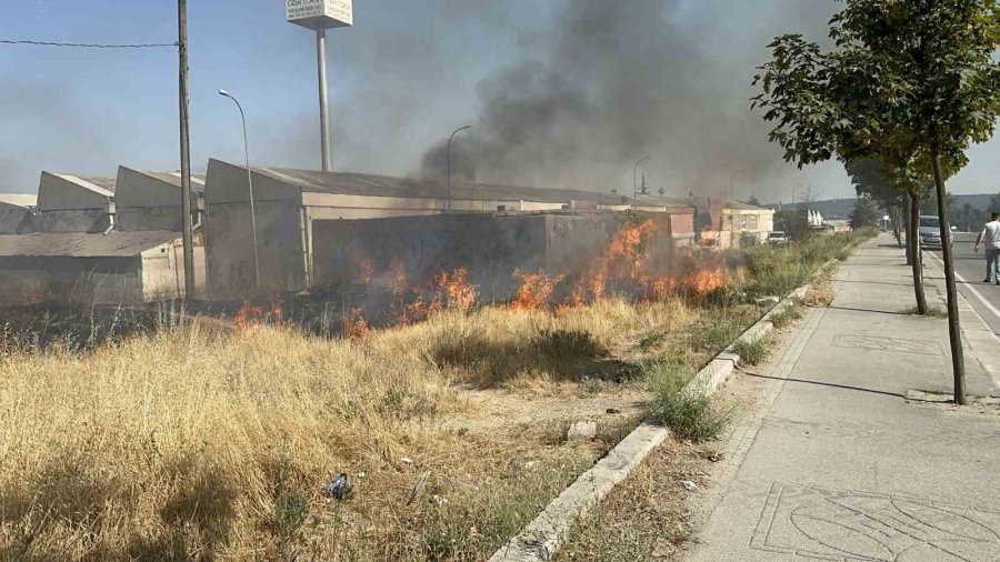 Korkutan Yangın Hayırsever Operatör Söndürüldü