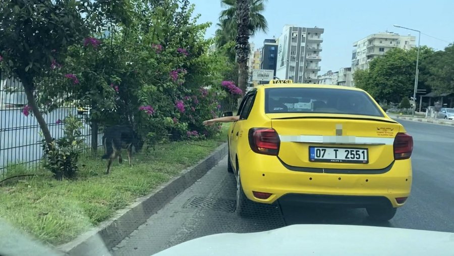 Kara Yoluna Çıkan Köpek Trafiği Birbirine Kattı, Sürücüleri Peşinden Koşturdu