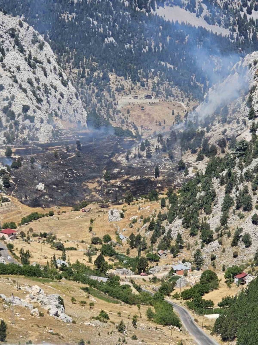 Kırsal Alan Yangınında 1 Hektar Zarar Gördü