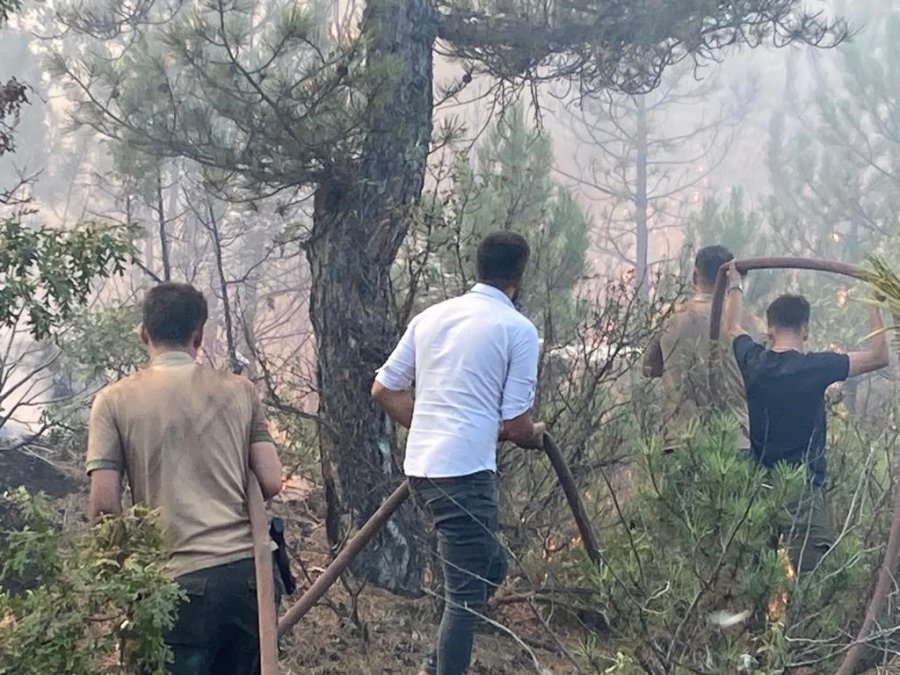 Seyitgazi Yangınına Havadan Müdahale Başladı