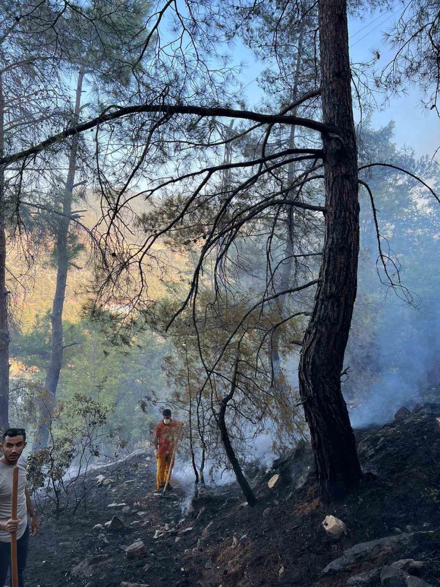 Gazipaşa’daki Orman Yangını Havadan Ve Karadan Yapılan Müdahale İle Söndürüldü