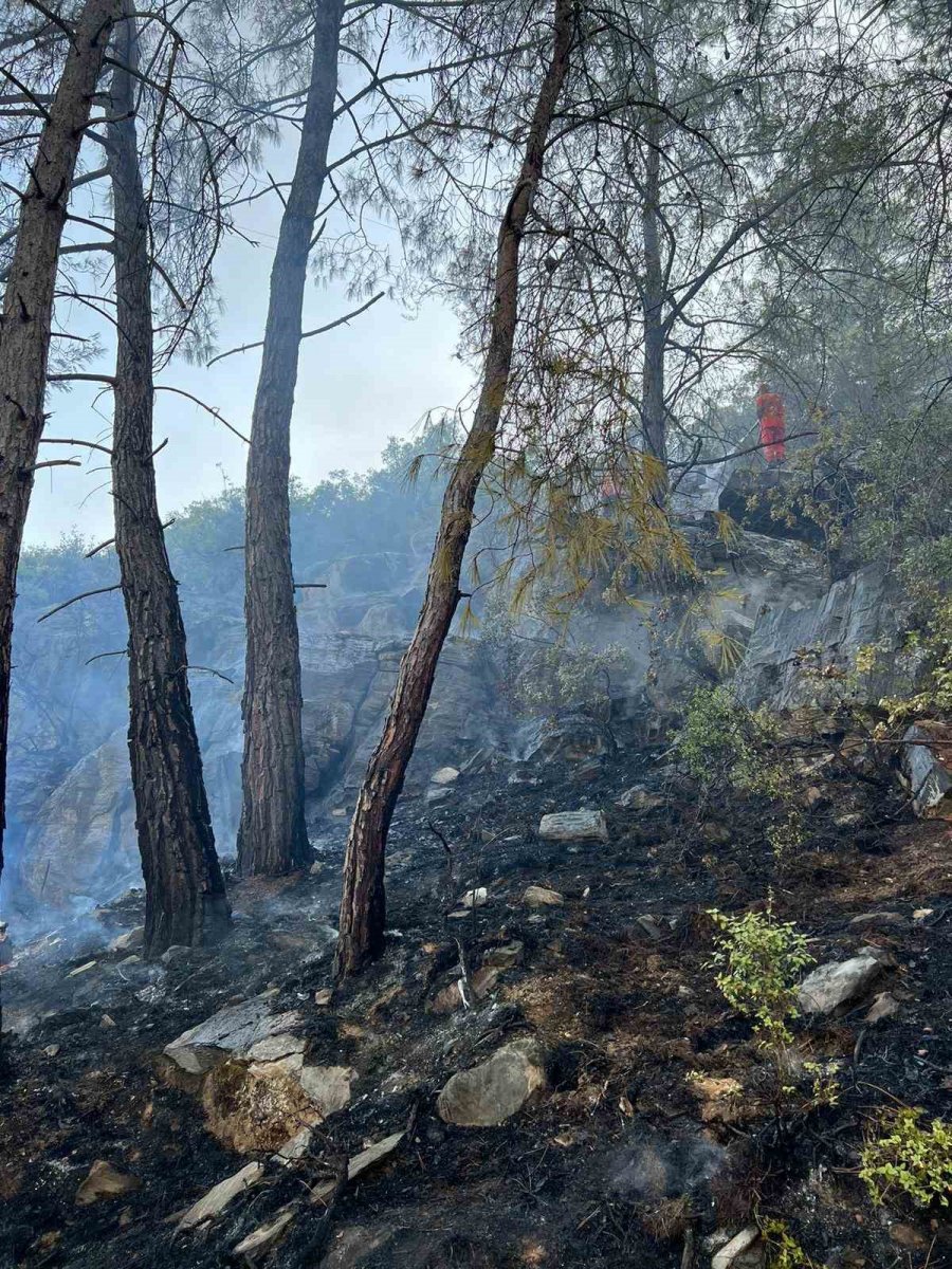 Gazipaşa’daki Orman Yangını Havadan Ve Karadan Yapılan Müdahale İle Söndürüldü