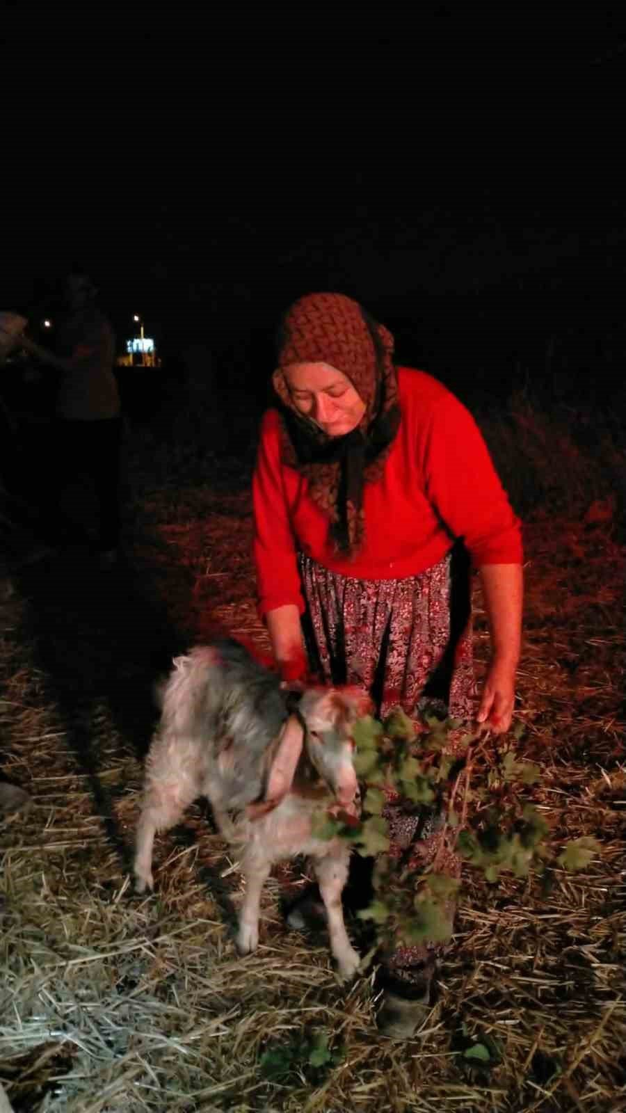 Konya’da 12 Metrelik Kuyuya Düşen Keçiyi İtfaiye Kurtardı