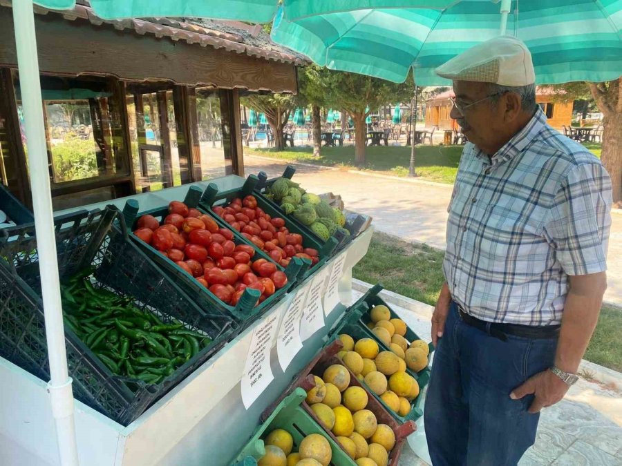 Adabağ’da Üretilen Organik Ürünler Tarladan Direkt Halka Ulaşıyor