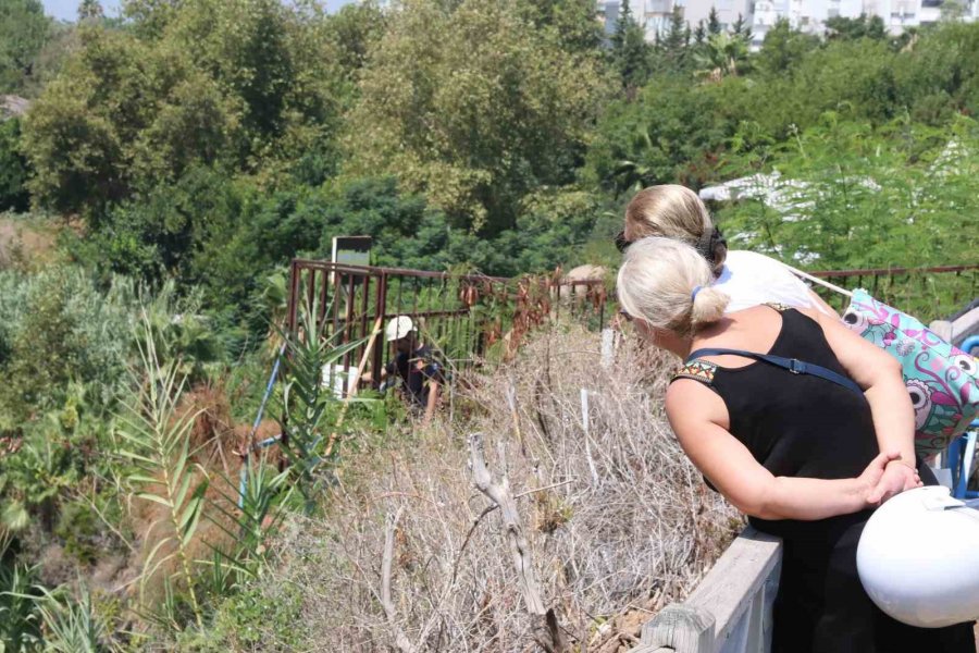 Antalya’da ‘tarzan’ Adam Alarmı: Demirlere Tırmandı, Polislerden Kaçıp Şemsiyenin Üzerine Çıktı