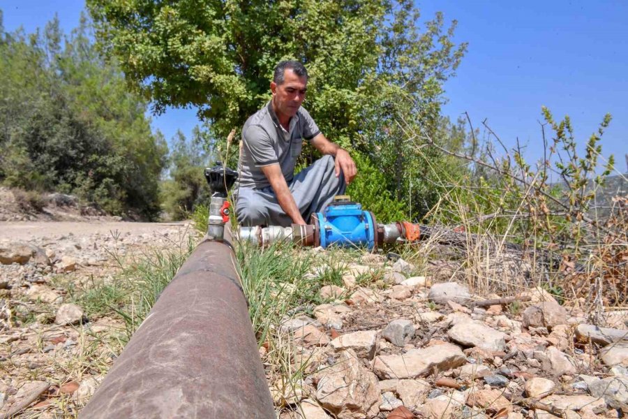 Mersin Büyükşehir Belediyesinin Desteği Üreticiye Bereket Oluyor