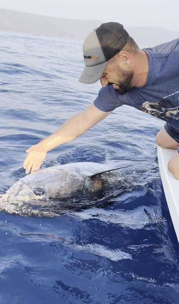 80 Kilogramlık Mavi Orkinosa Hayat Öpücüğü