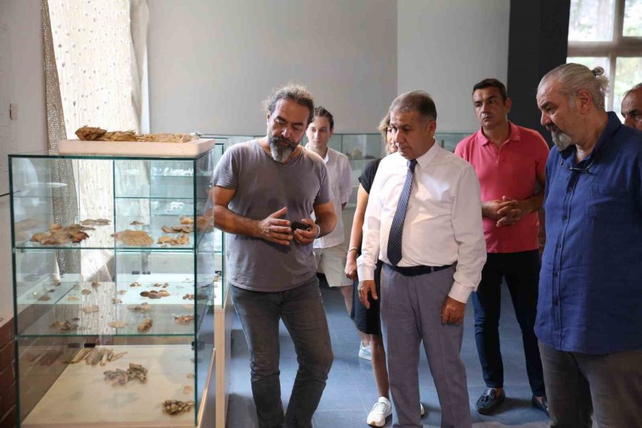 Bölgenin İlk Deniz Canlıları Müzesi Mersin’de Açılıyor