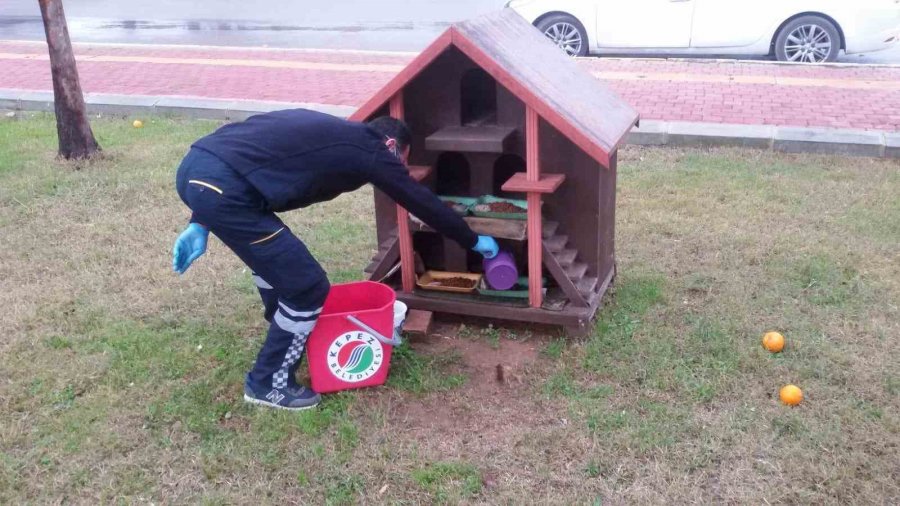 Sokak Hayvanlarının Mamalarını Kepez Belediyesi Üretiyor