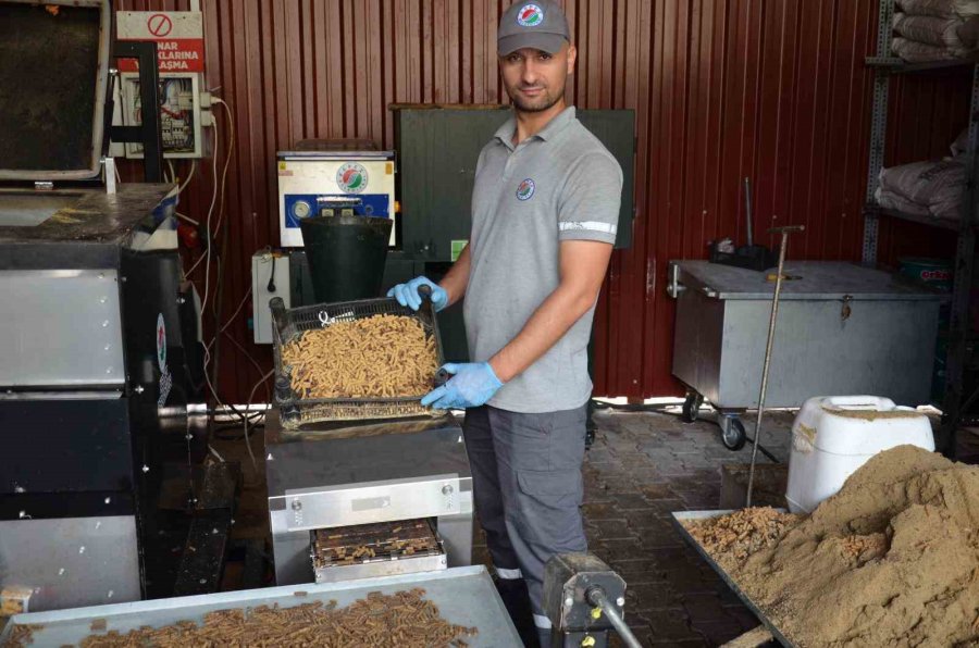 Sokak Hayvanlarının Mamalarını Kepez Belediyesi Üretiyor