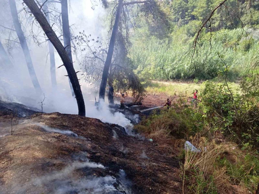 Manavgat’ta 30 Dakika Arayla İki Ayrı Noktada Çıkan Orman Yangınları Söndürüldü