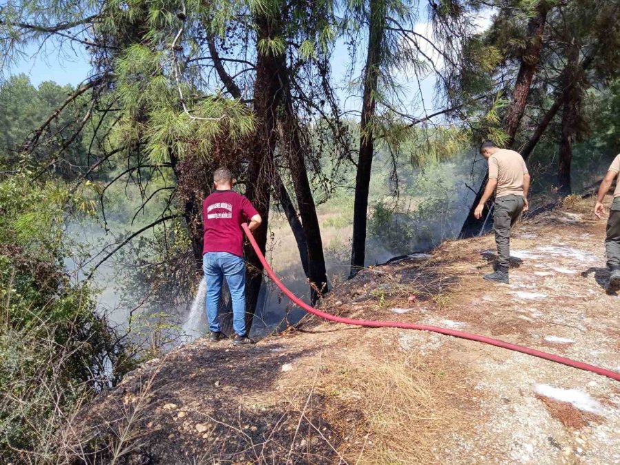 Manavgat’ta 30 Dakika Arayla İki Ayrı Noktada Çıkan Orman Yangınları Söndürüldü