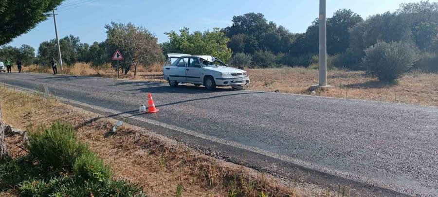 Prof. Dr. Naci Güçhan Trafik Kazasında Hayatını Kaybetti