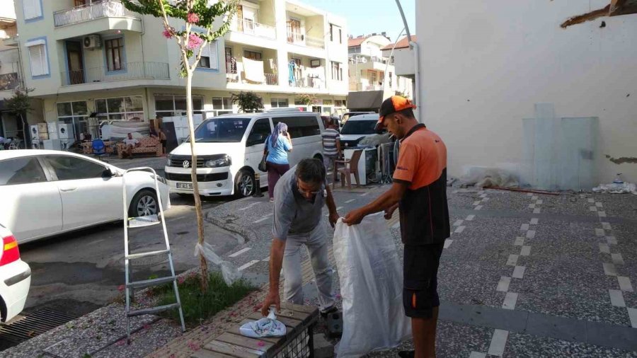 Ağaçta Oğul Veren Bal Arıları, Vatandaş Tarafından Çuvala Konuldu