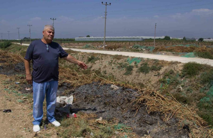 Organik Atıklar Elektrik Enerjisine Dönüştürülüyor