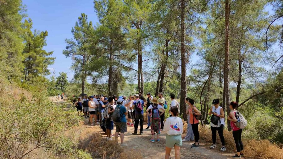 Yeşilçam Yolunda Doğa Yürüyüşü