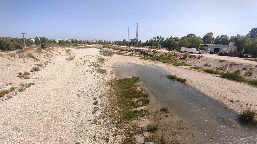 Çmo Antalya Şube Başkanı Ünver: "yeraltı Suyu, 20 Metreden 50 Metreye Kadar Çekildi, Gerekirse Kaçak Sondaj Timi Kurulmalı"