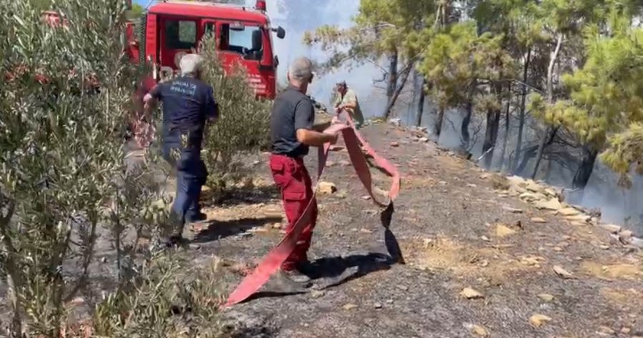 Alanya’daki Orman Yangını Karadan Ve Havadan Müdahaleyle Büyümeden Söndürüldü