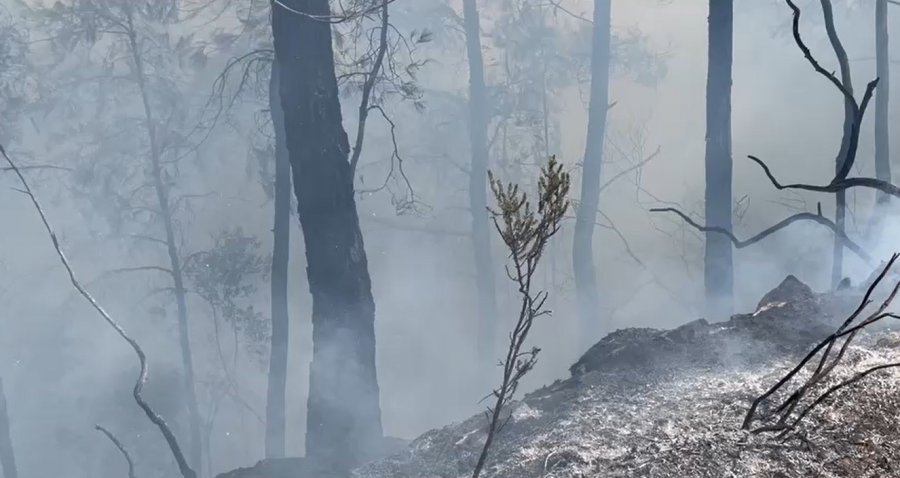 Alanya’daki Orman Yangını Karadan Ve Havadan Müdahaleyle Büyümeden Söndürüldü