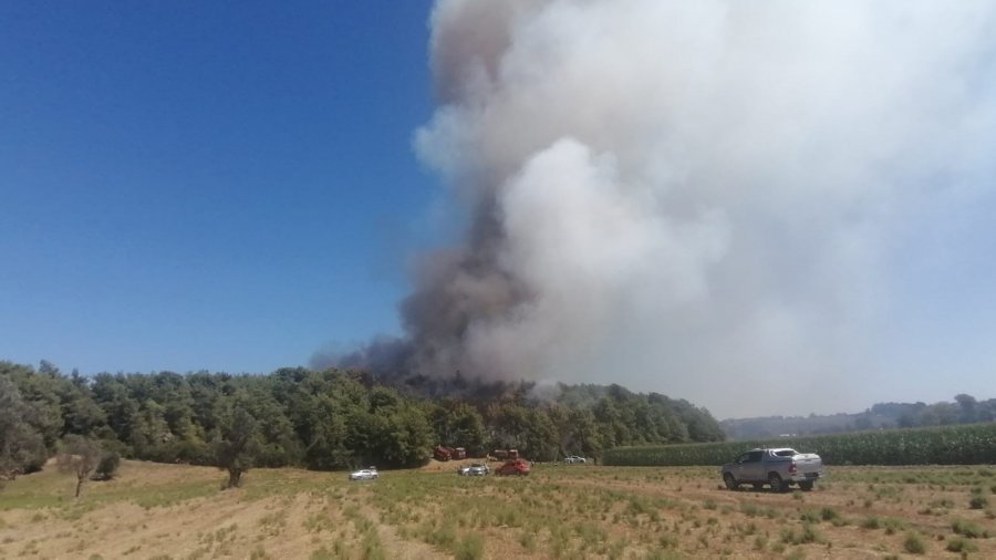 Manavgat’ta Orman Yangınına Havadan Karadan Müdahale