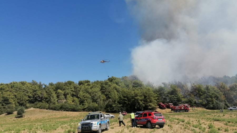 Manavgat’ta Orman Yangınına Havadan Karadan Müdahale