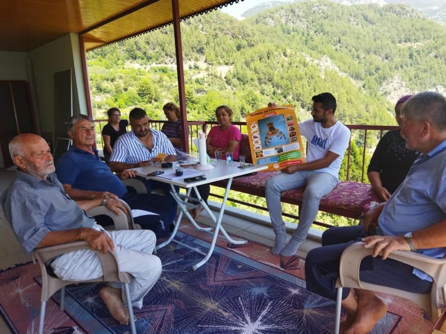 Gazipaşa’da Akdeniz Meyve Sineği İle Mücadele Başlatıldı