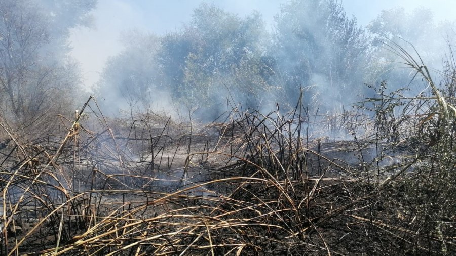 Antalya’da Sazlık Yangınına Havadan Ve Karadan Hızlı Müdahale