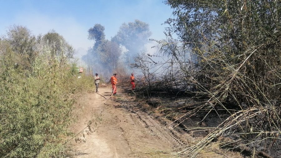 Antalya’da Sazlık Yangınına Havadan Ve Karadan Hızlı Müdahale