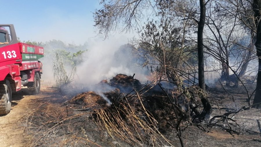 Antalya’da Sazlık Yangınına Havadan Ve Karadan Hızlı Müdahale