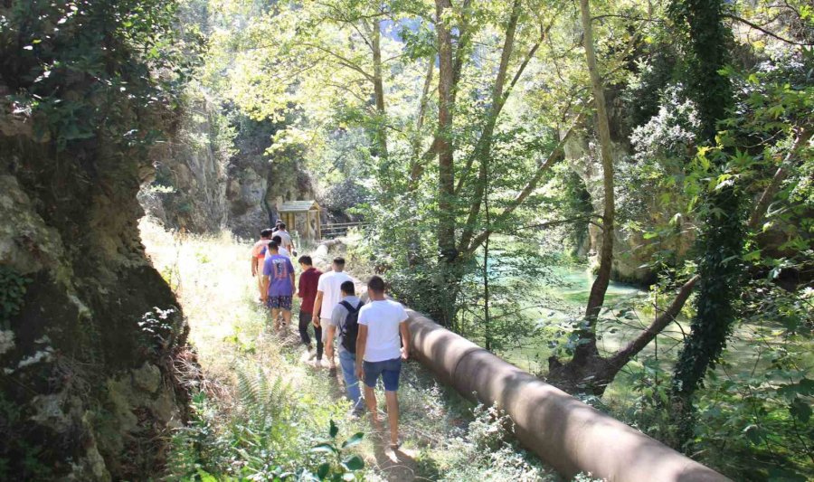 Doğa Harikası Kayacı Vadisi Ekoturizm Alanı Oldu