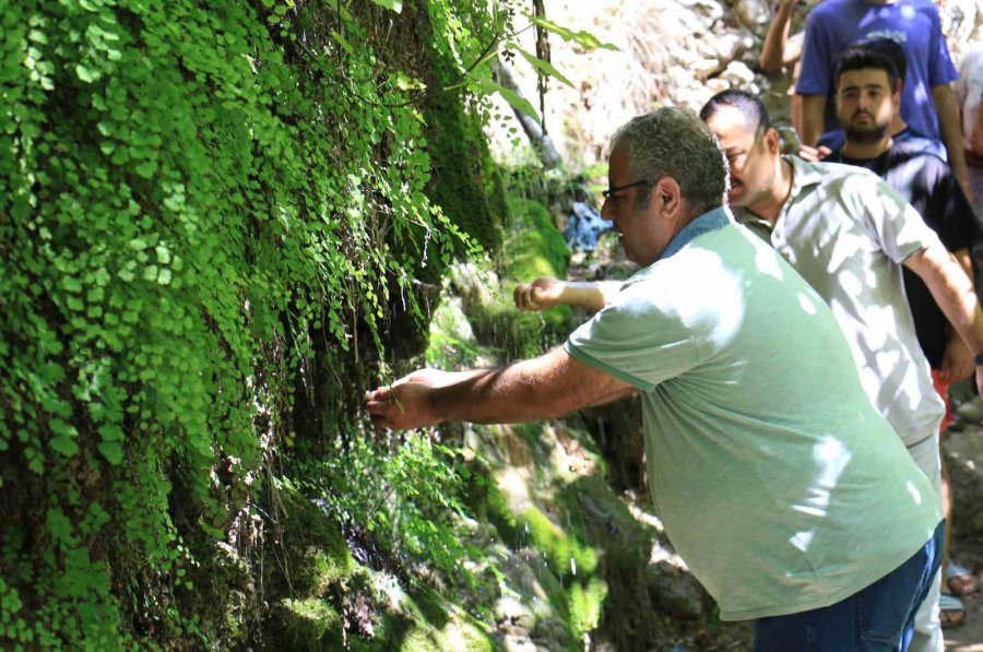 Doğa Harikası Kayacı Vadisi Ekoturizm Alanı Oldu