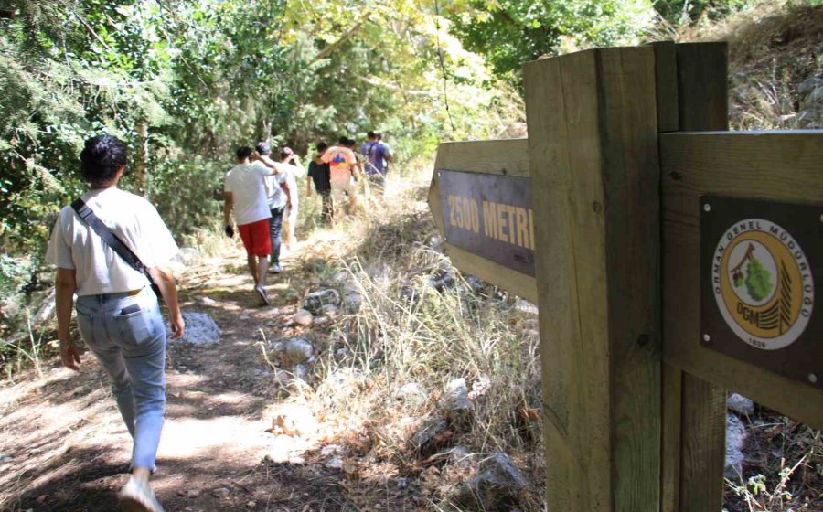 Doğa Harikası Kayacı Vadisi Ekoturizm Alanı Oldu