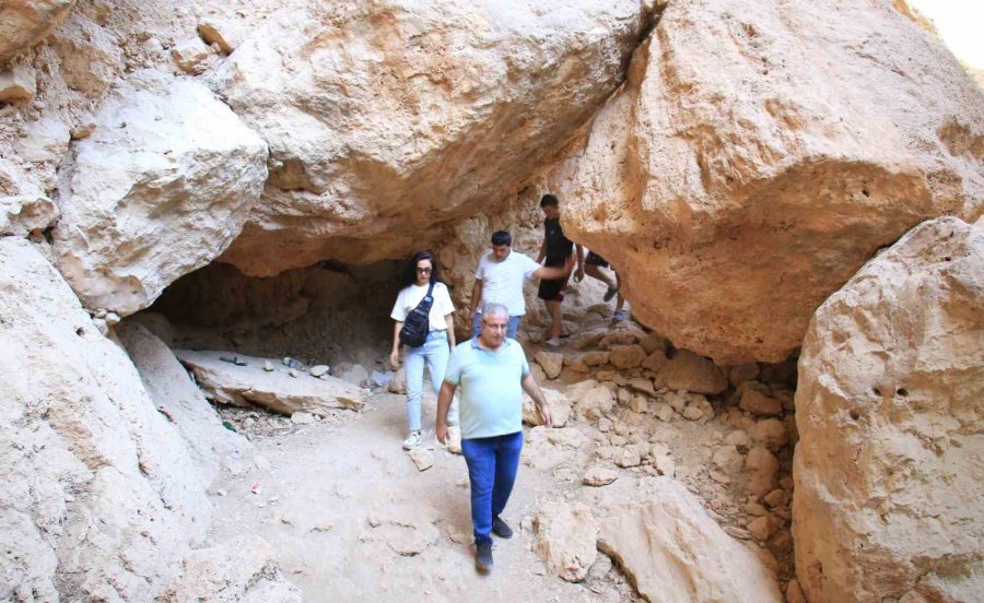 Doğa Harikası Kayacı Vadisi Ekoturizm Alanı Oldu