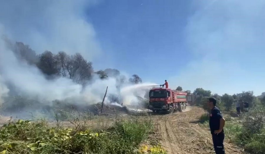 Antalya’da Kuş Cennetinde Çıkan Yangın Kontrol Altına Alındı