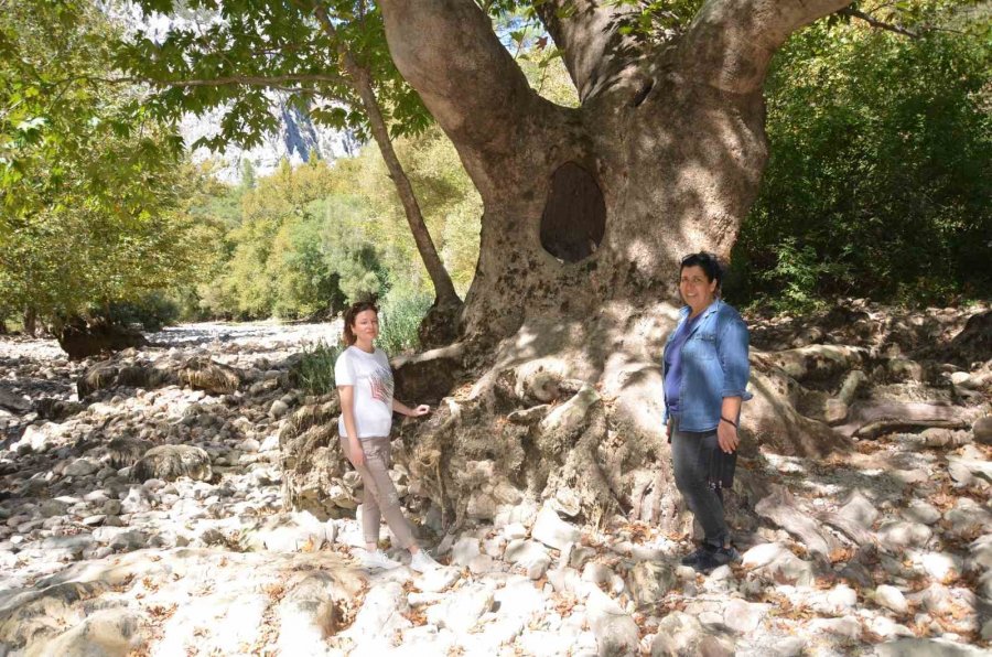 Antalya’da Üzümdere Irmağı Kurudu