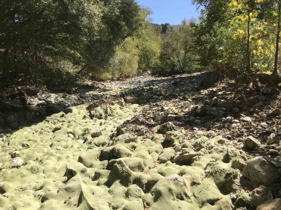 Antalya’da Üzümdere Irmağı Kurudu