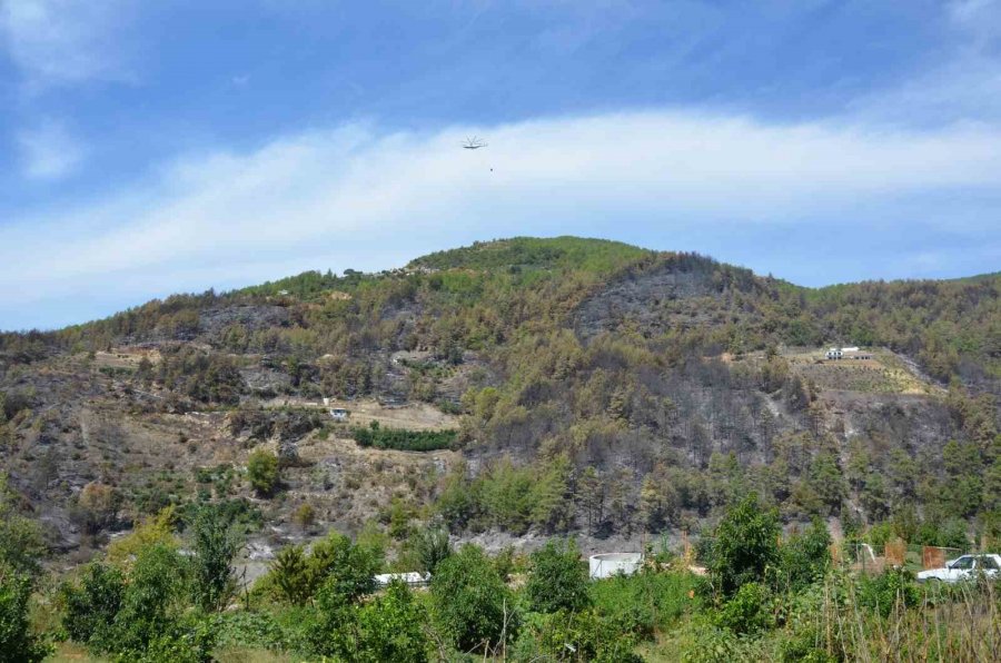 Alanya’da, Büyükşehir Ekipleri Yangın Sonrası Da Sahada