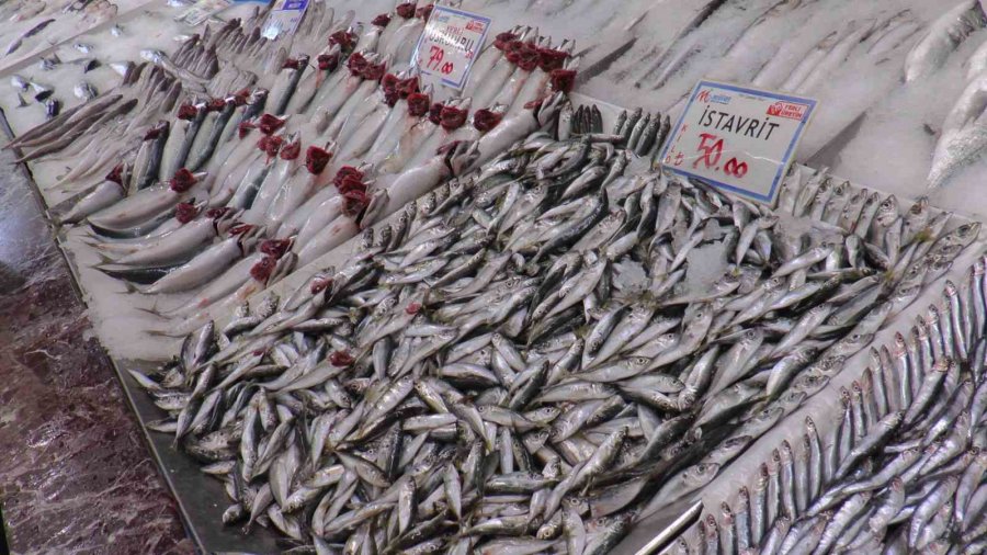 Kayseri’de Hamsiye İlgi Yoğun