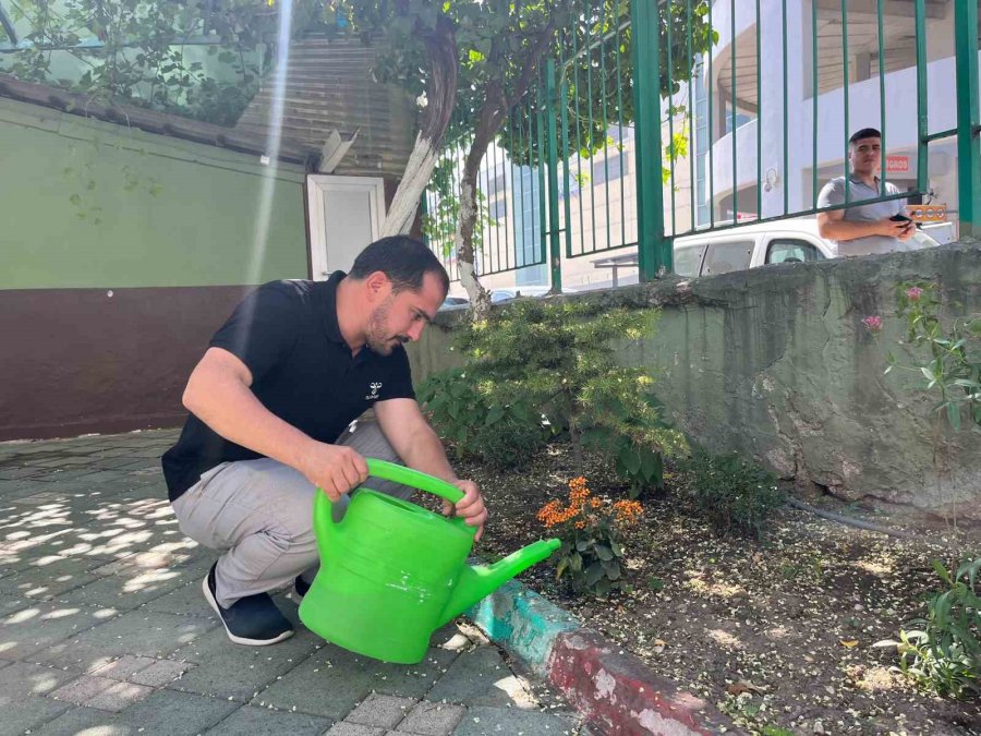 Sarmaşıla Sarılı Cami Kuşlara Yuva Oluyor